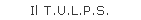 Il T.U.L.P.S.